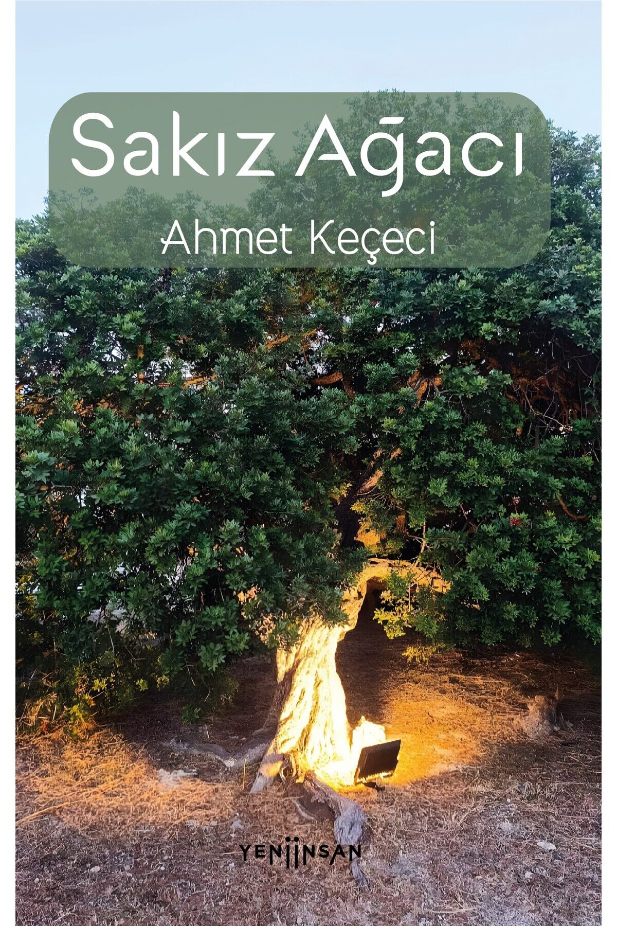 Sakız Ağacı