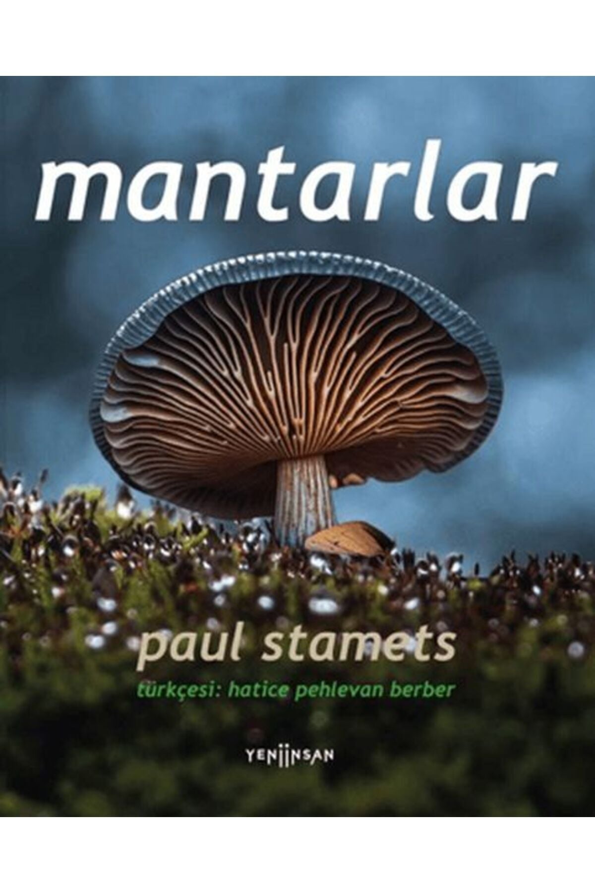 Mantarlar