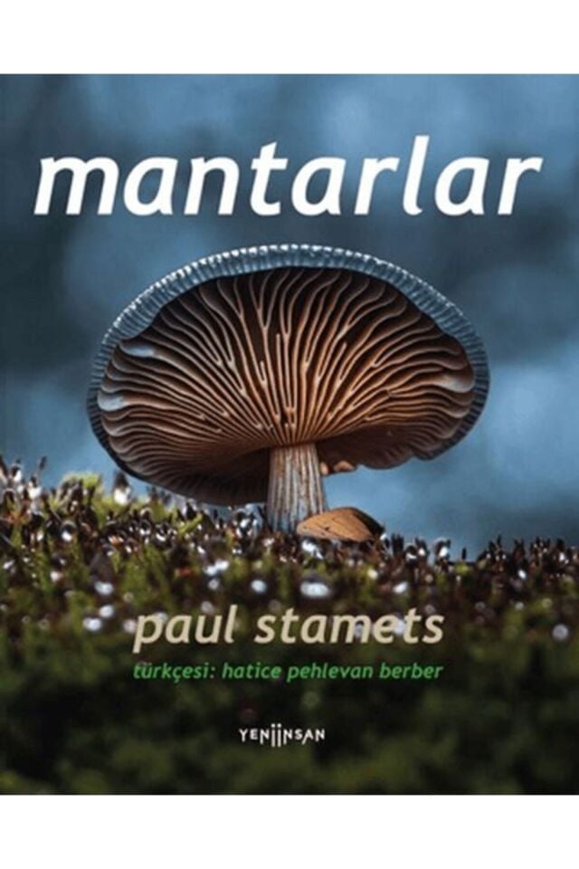 Mantarlar