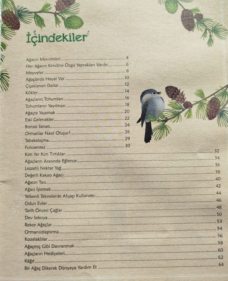 Ağaçlar Hakkında Her şey